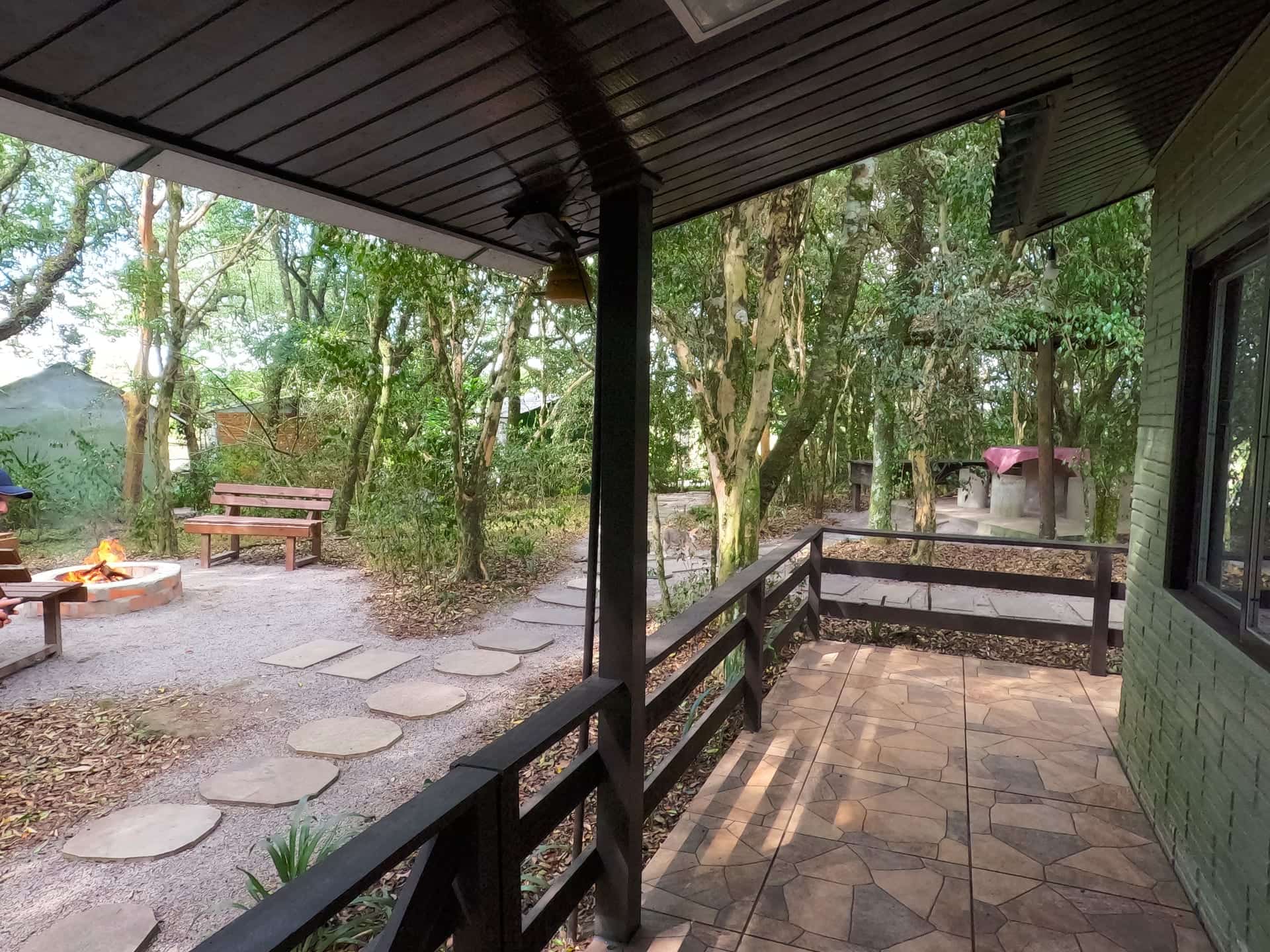 Imagem da galeria