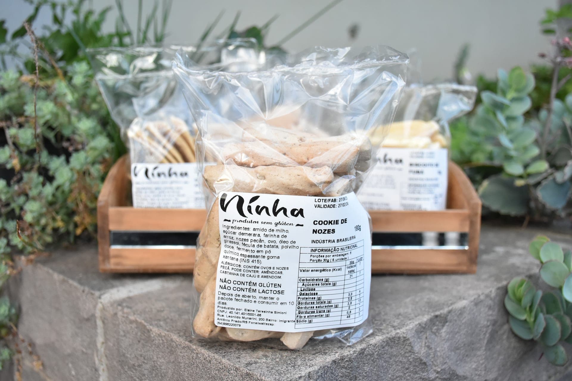 Capa de Espaço da Alegria - Ninha Produtos Sem Glutén