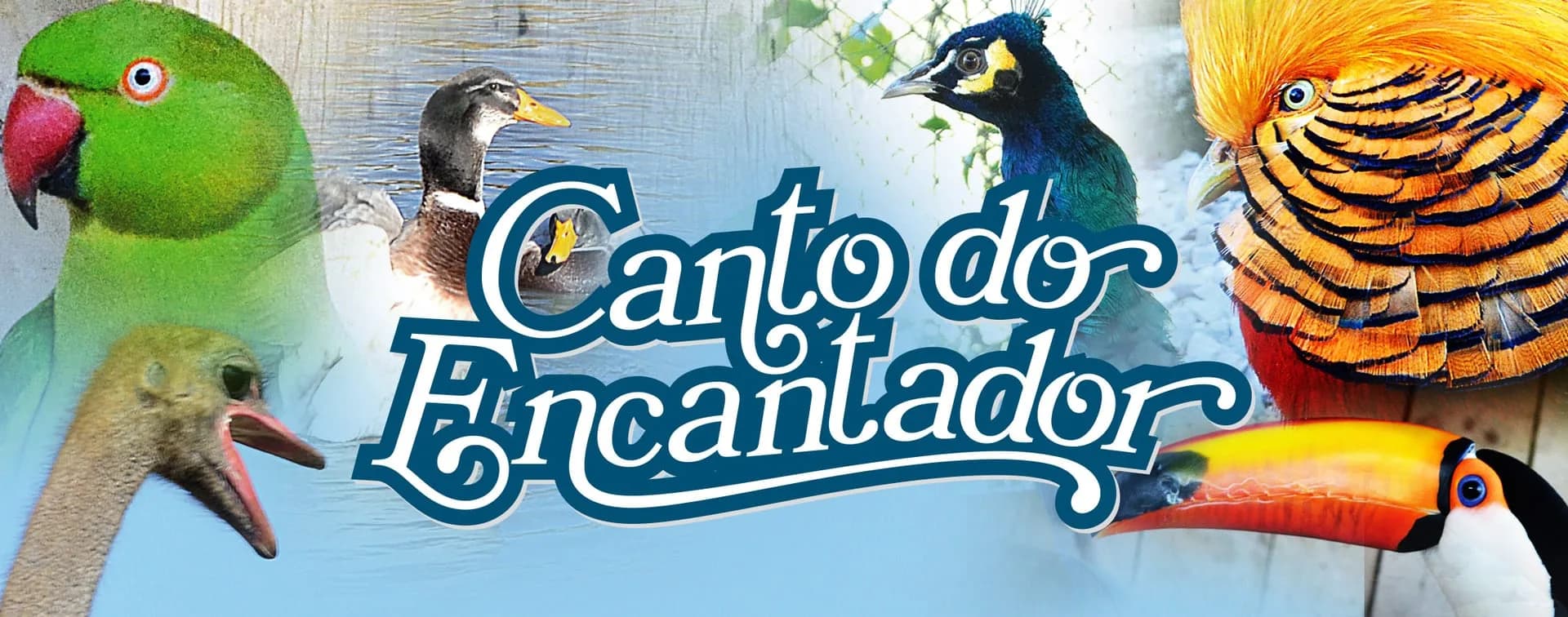Canto do Encantador